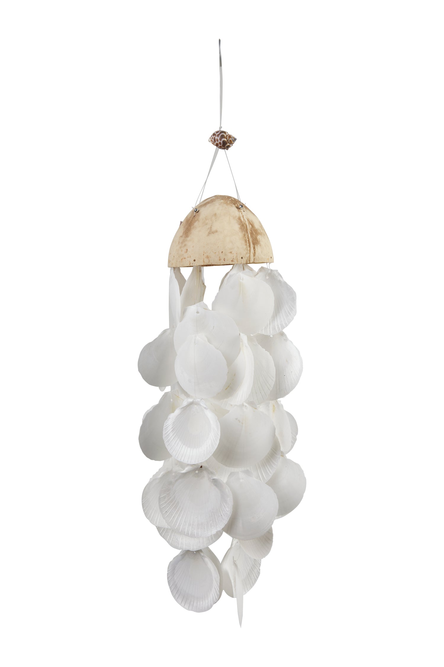 Campana del vento conchiglie