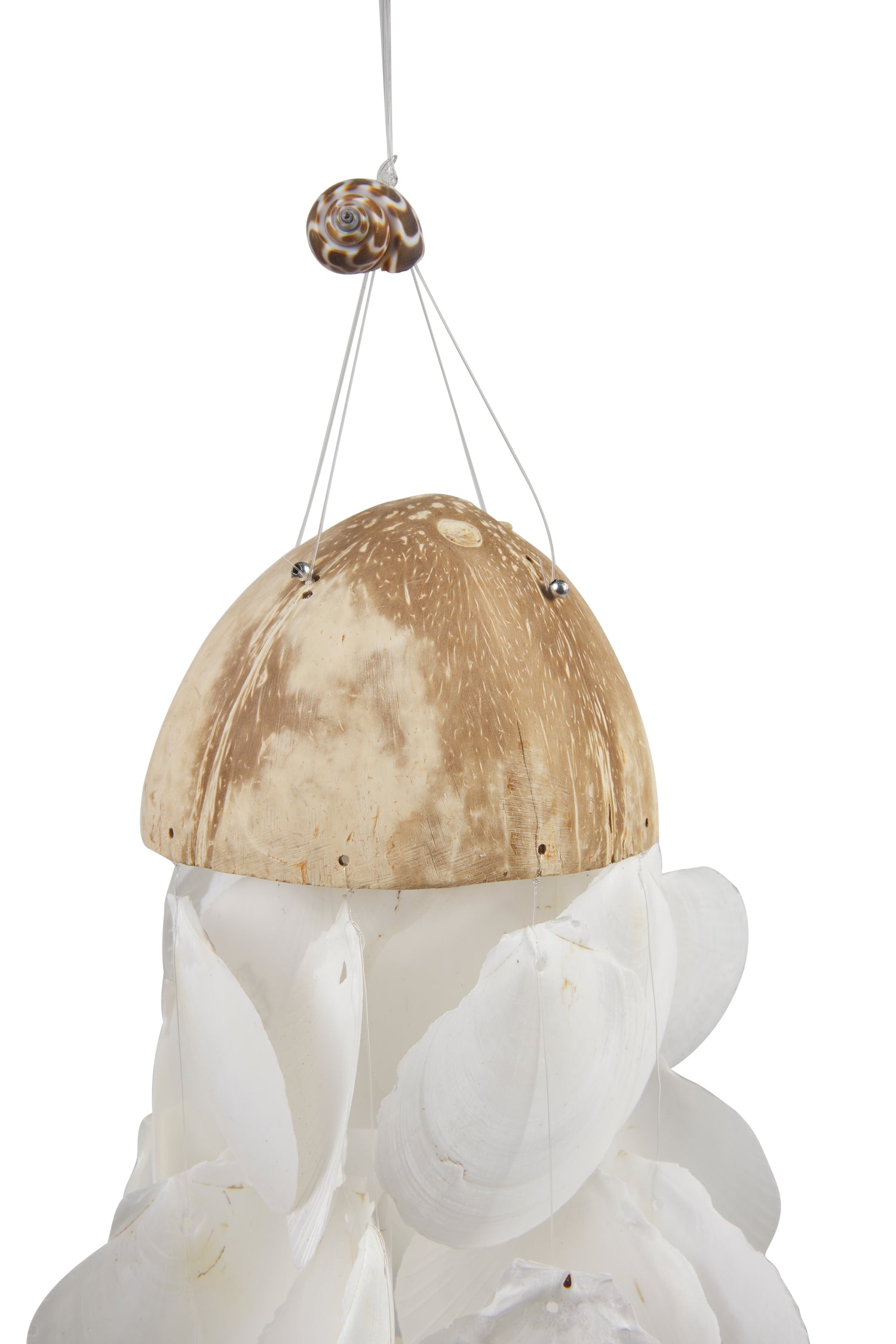 Campana del vento conchiglie