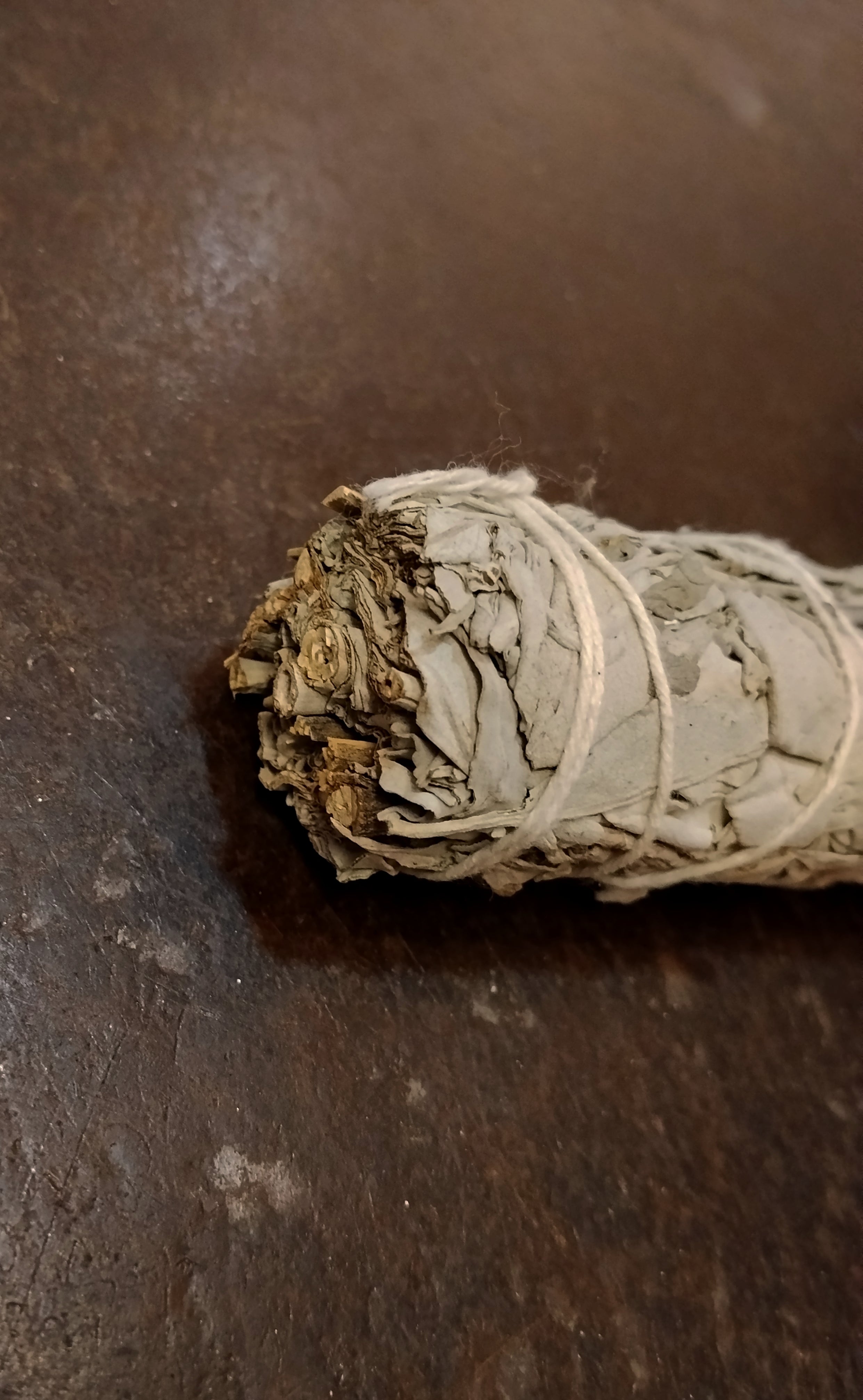 Smudge di Salvia bianca